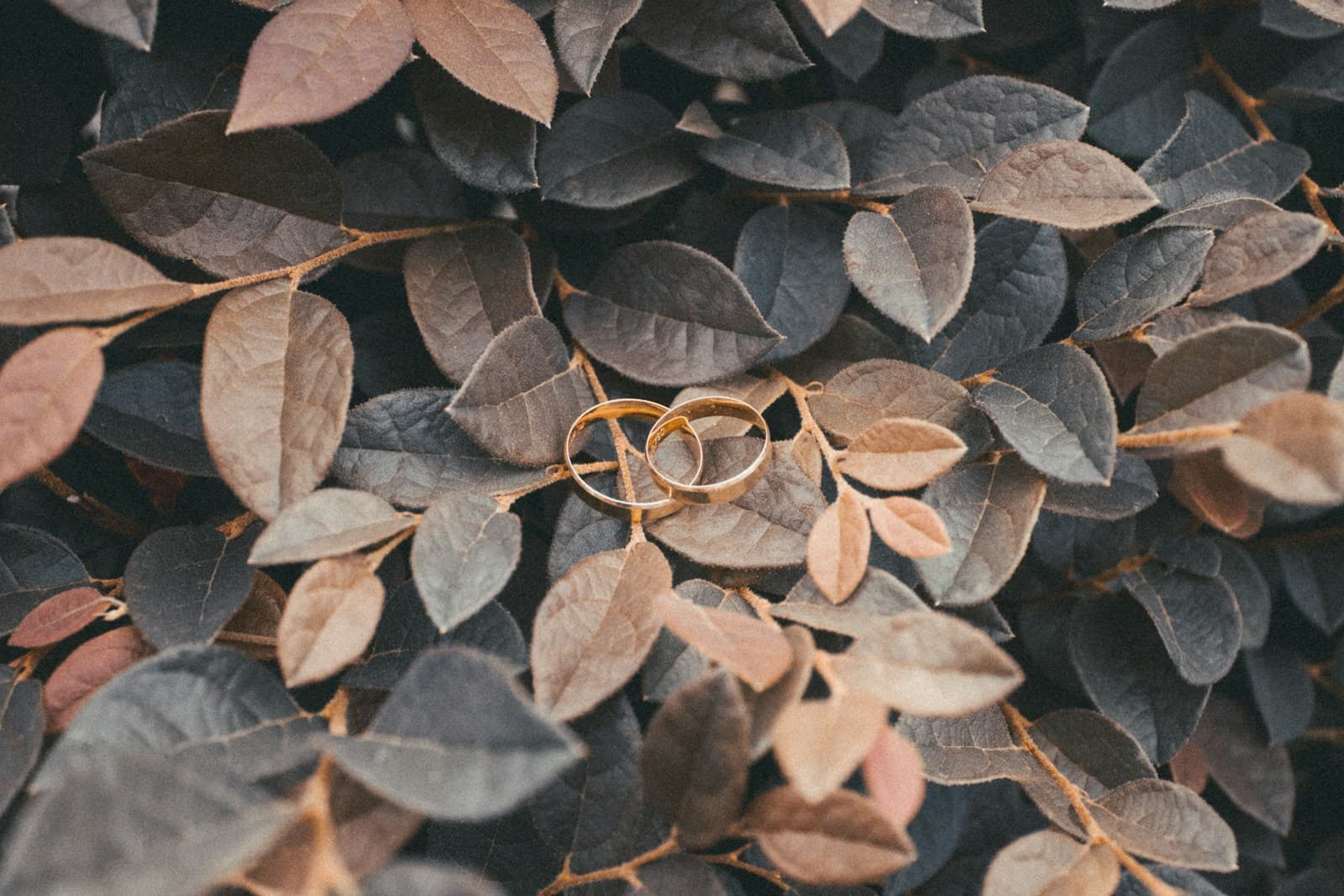 30 Perguntas de Entrevista Para Green Card Baseado em Casamento