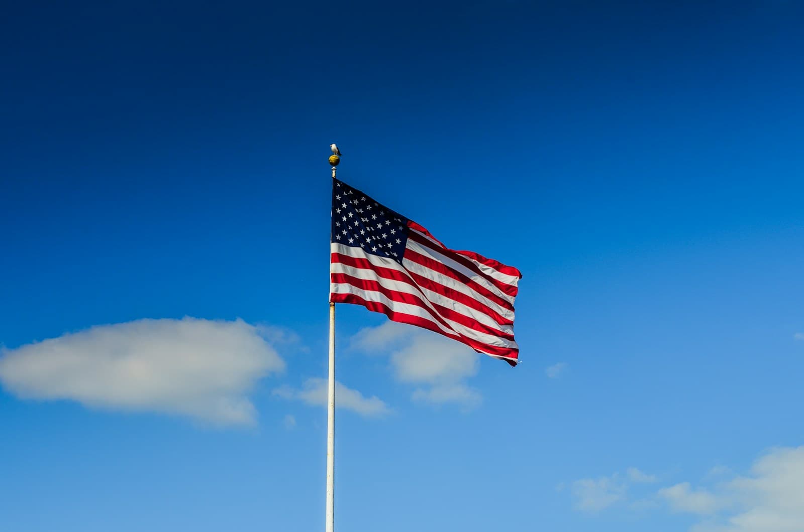 Quais São os Direitos de um Cidadão Americano?